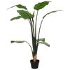 Product Thumbnail Image 3 of 6