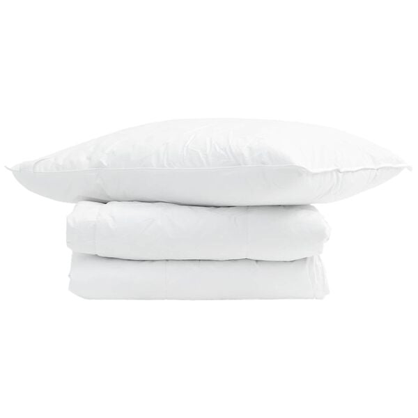 vidaXL Summer Duvet with Pillow 2 pcs White Down Feather