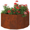 Product Thumbnail Image 3 of 14