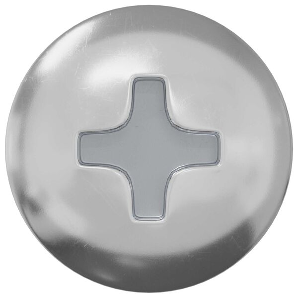 vidaXL Self Tapping Nail 10976 pcs Zinc-coated Steel