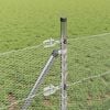 Product Thumbnail Image 4 of 15