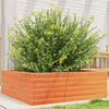 Product Thumbnail Image 2 of 10