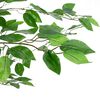 Product Thumbnail Image 3 of 5