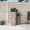 Product Thumbnail Image 2 of 6