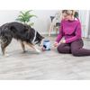 TRIXIE 2-in-1 Dog Activity Ball & Treat Strategy Game