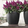 LECHUZA Planter Classico Color 35 ALL-IN-ONE Slate 13224