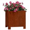 Product Thumbnail Image 3 of 12