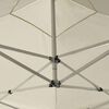 vidaXL Professional Folding Party Tent Aluminium 2x2 m Cream