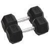 vidaXL Dumbbells 2 pcs 10 kg Total Cast Iron
