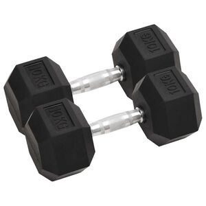 vidaXL Dumbbells 2 pcs 10 kg Total Cast Iron