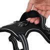 Product Thumbnail Image 9 of 11