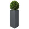 Product Thumbnail Image 4 of 12
