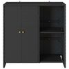 vidaXL Storage Cabinet with Storage Black 100 x 36 x 102 cm Rattan