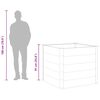 Product Thumbnail Image 9 of 9