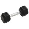 vidaXL Dumbbells 2 pcs 10 kg Total Cast Iron