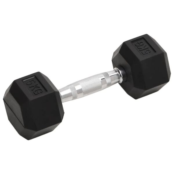 vidaXL Dumbbells 2 pcs 10 kg Total Cast Iron