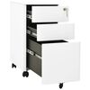 Product Thumbnail Image 5 of 13