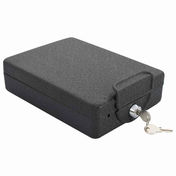 vidaXL Car Safe with Lock Black 22 x 16 x 7 cm Steel