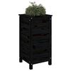 Product Thumbnail Image 3 of 9