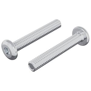 vidaXL Lock Screw Plain 2 pcs Silver M6 x 35 mm Steel