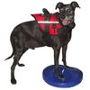 FitPAWS Pet Balance Disc 36 cm Blue