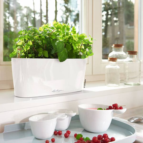 LECHUZA Planter DELTA 10 ALL-IN-ONE High-gloss White