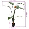 Product Thumbnail Image 5 of 5