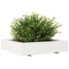 vidaXL Garden Planter White 110x110x26.5 cm Solid Wood Pine