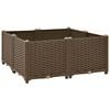 Product Thumbnail Image 2 of 7