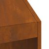 vidaXL Fire Pit Brown 50 x 50 x 100 cm Steel