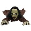 Product Thumbnail Image 4 of 7