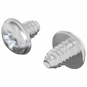 vidaXL Lock Screws Plain 2 pcs Silver M4 x 5 mm Iron