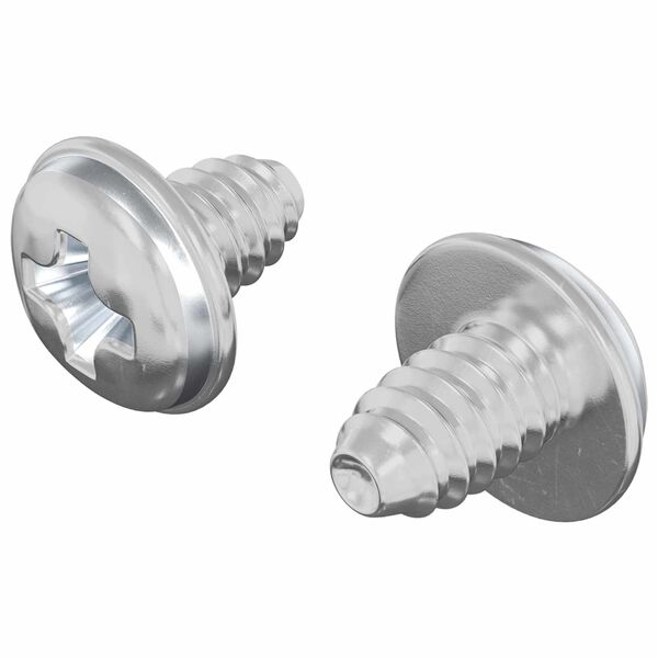 vidaXL Lock Screws Plain 2 pcs Silver M4 x 5 mm Iron