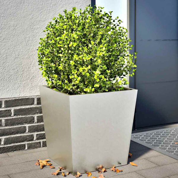 Showing Product Image 2 of 12