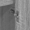 Product Thumbnail Image 11 of 14