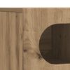 vidaXL TV Cabinet Artisan Oak 100 x 35 x 40 cm Engineered Wood
