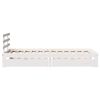Product Thumbnail Image 5 of 11
