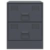 vidaXL Bedside Cabinets 2 pcs Anthracite 34.5x39x44 cm Steel