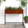 Product Thumbnail Image 6 of 16
