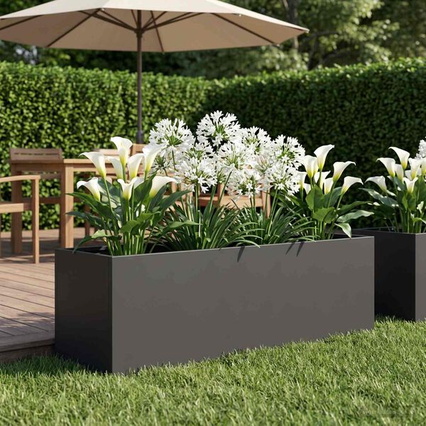 Showing Product Image 2 of 7