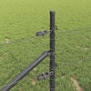 Product Thumbnail Image 4 of 16