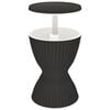 vidaXL 3-in-1 Ice Cooler Table Black Polypropylene