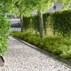 Product Thumbnail Image 2 of 8