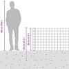 Product Thumbnail Image 13 of 13