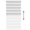 Product Thumbnail Image 5 of 16