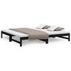 vidaXL Pull-out Day Bed without Mattress Black 2x(90x200) cm