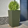 Product Thumbnail Image 2 of 12