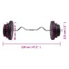 vidaXL Curl Barbell with Plates 60 kg