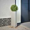 Product Thumbnail Image 2 of 11
