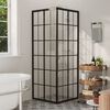 vidaXL Shower Cabin ESG 70x70x180 cm